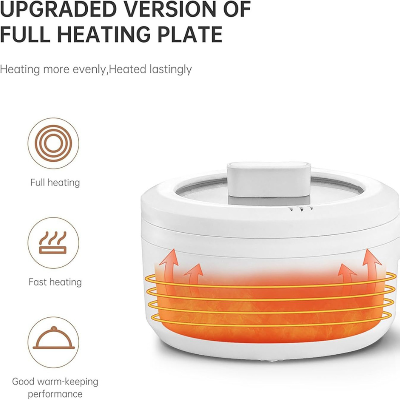Multi-Function Mini Electric Cooking Pot
